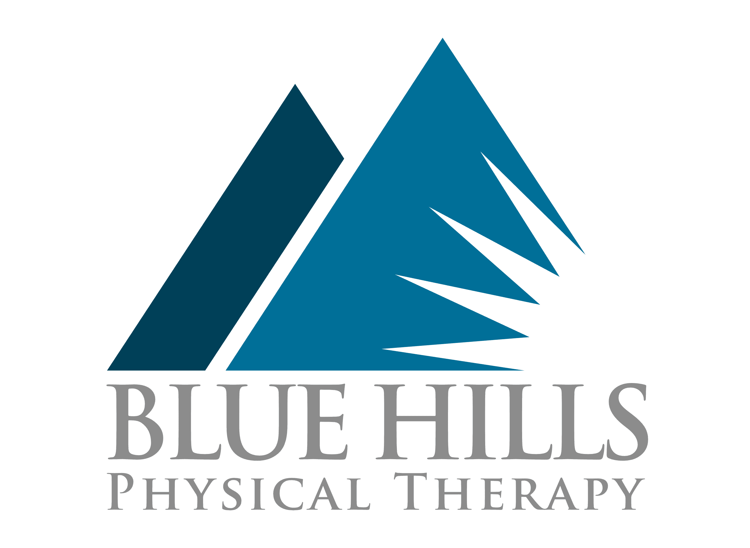 About Blue Hills Physical Therapy